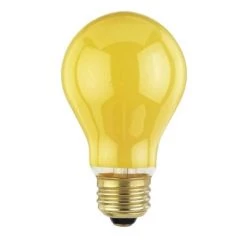 Westinghouse Bug Light 60 Watts A-Line Incandescent Bulb (Medium) Yellow 2 Pk