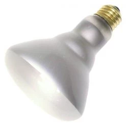 Westinghouse Flood Light Bulb