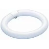 Westinghouse T9 Circular Fluorescent Light Bulb -Home Improvement Sales Shop 0601000 1