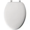 Mayfair Toilet Seat Elongated with Chrome Hinges -Home Improvement Sales Shop 19650496 1 1