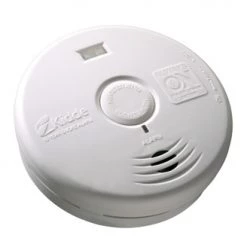Kiddie Worry-Free Hallway Sealed Lithium Battery Power Smoke Alarm P3010H