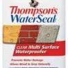 Thompson's Waterseal Clear Multi-Surface Waterproofer - 1.2 Gallon