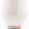 SYLVANIA Nite Lite Light Bulb 7C7 - 2 Pack -Home Improvement Sales Shop 2490030 1