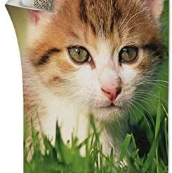 3M Command Poster Strips -Home Improvement Sales Shop 3790301 1 1