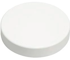 Sioux Chief Hardhat PVC Test Cap DMV