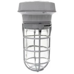 Cooper Lighting 100 Watt Vapor Tight Floodlight
