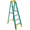 Werner 6 Ft. Type II Fiberglass Step Ladder