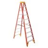 Werner 10 Ft. Type IA Fiberglass Step Ladder