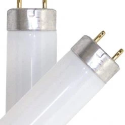 Sylvania Fluorescent Light Bulb, 2-Pack