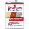 Thompson's Waterseal Clear Multi-Surface Waterproofer -Home Improvement Sales Shop 5250129