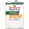 Thompson's WaterSeal Clear Waterproofer 1 Gallon
