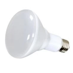 Satco S9022/S9029 10BR30/LED/120V/6PK - Dimmable Light Bulb