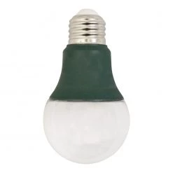 Stonepoint GR-A19 Grow Bulb