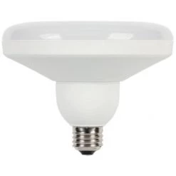 Westinghouse LED Utility Light Bulb