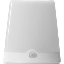 Amertac Indoor/Outdoor Color-Changing LED Light | LS3101RGB