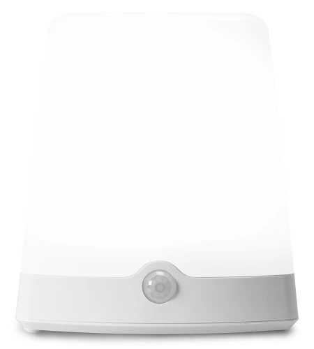 Amertac Indoor/Outdoor Color-Changing LED Light | LS3101RGB 4 Amertac Indoor/Outdoor Color-Changing LED Light | LS3101RGB - Image 2