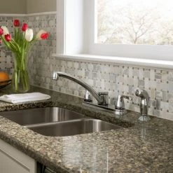 Moen Adler Chrome Two-Handle Low Arc Kitchen Faucet -Home Improvement Sales Shop 87046 3 1