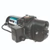 Wayne Pump 1/2 HP Cast-Iron Shallow Well Jet Pump -Home Improvement Sales Shop sws50 2650150 1