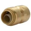 SharkBite Brass Push Female Adapter 1 SharkBite Brass Push Female Adapter -Home Improvement Sales Shop u072lf 1