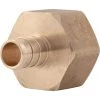 SharkBite Brass Crimp Female Connector 1 SharkBite Brass Crimp Female Connector -Home Improvement Sales Shop uc068lfa 1